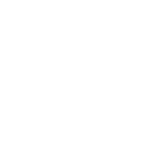 Sony Tw