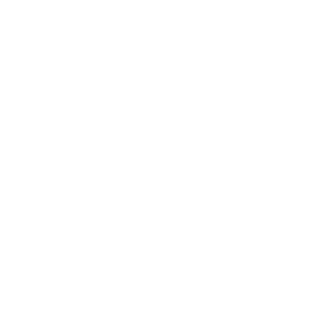 Hollyland